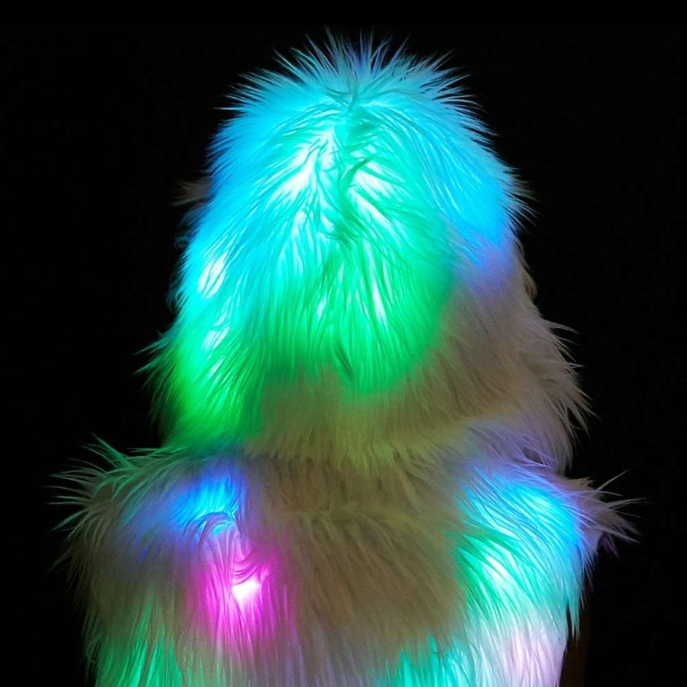Flashing Lights Hooded Vest